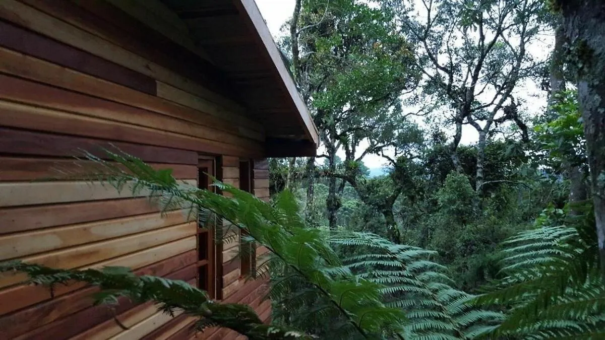 Chale Dos Tucanos- Parede De Vidro Com Linda Vista Campos do Jordao